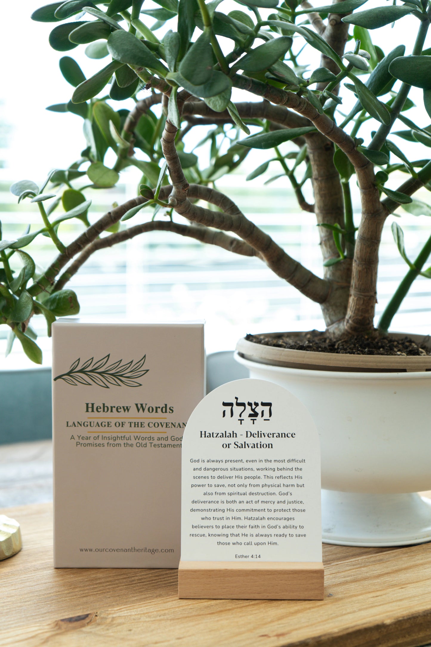 Hebrew Word Study cards highlighting key Old Testament words
Bible study cards featuring Hebrew words and meanings from scripture
Faith-based study cards connecting Old Testament and Hebrew language