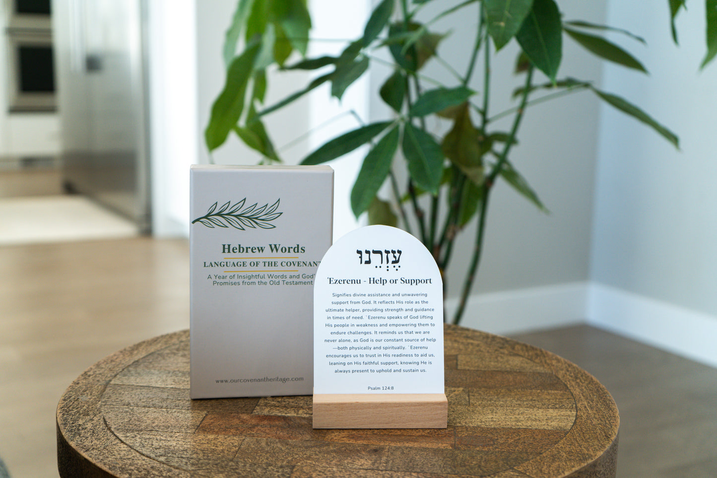 Christian devotional cards with Hebrew word studies from the Old Testament
Scripture learning cards exploring Hebrew words and biblical roots
Old Testament study resource cards featuring Hebrew words and insights