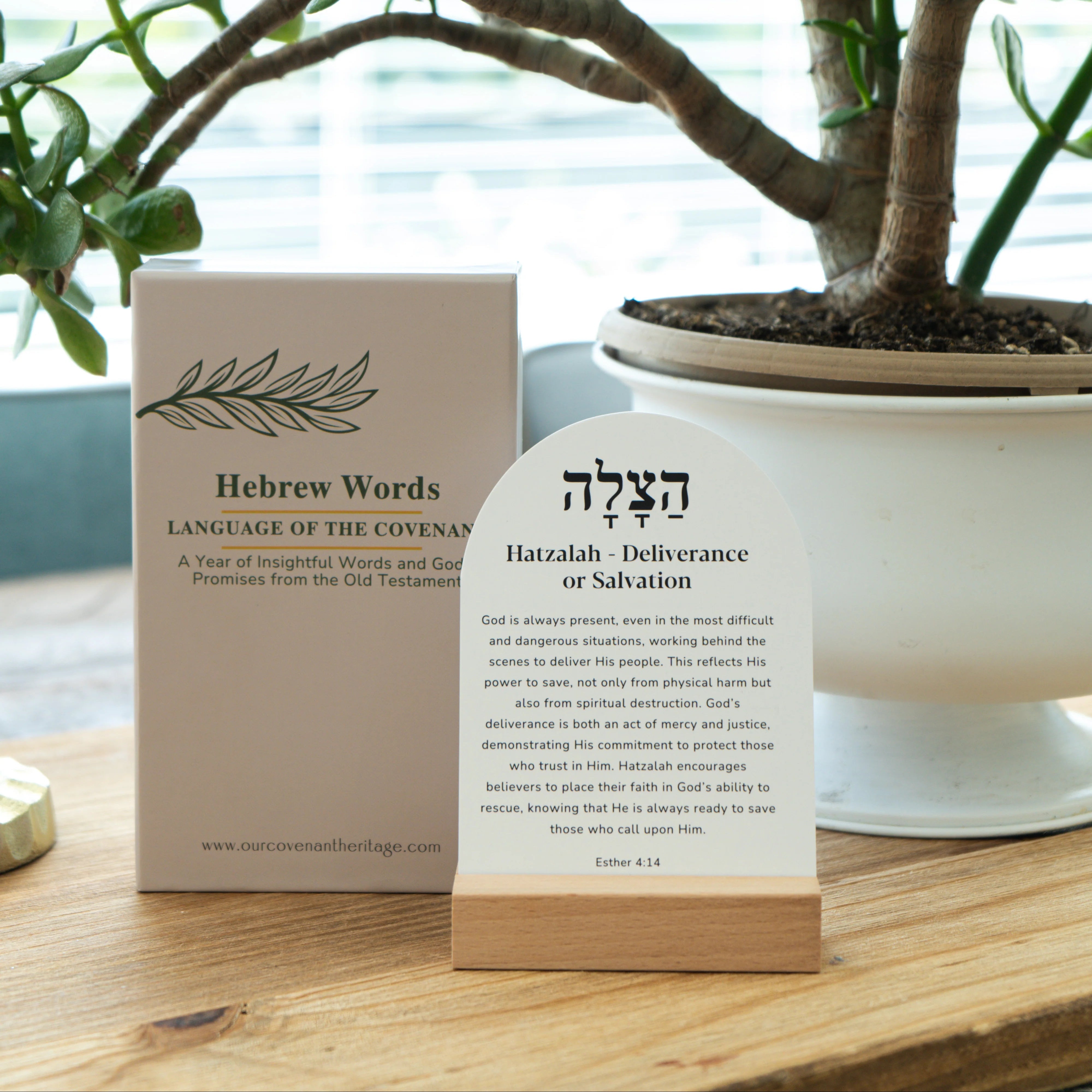Covenant Language Hebrew Words: Language of the Covenant A Year of Insightful Words and ...
