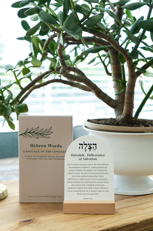 Hebrew Word Study cards highlighting key Old Testament words

Bible study cards featuring Hebrew words and meanings from scripture

Faith-based study cards connecting Old Testament and Hebrew language