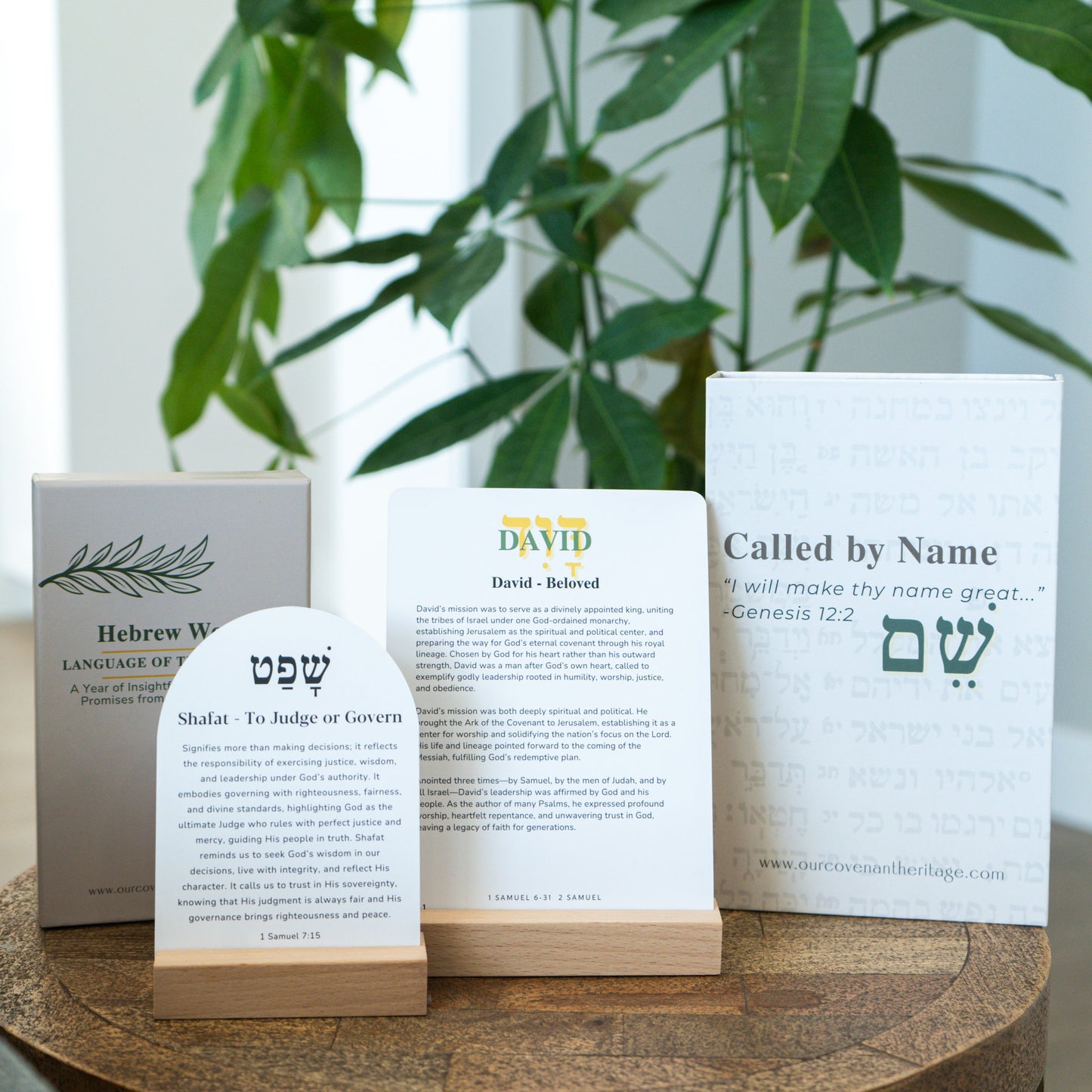 Biblical character cards designed for Old Testament study and reflection for Christians.